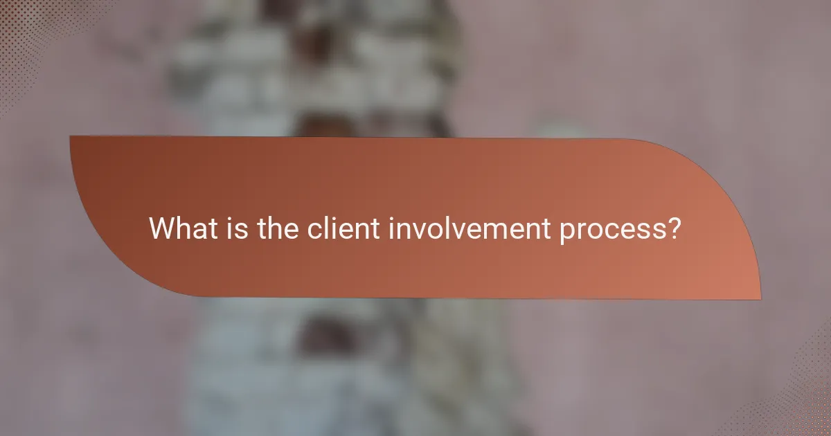 What is the client involvement process?